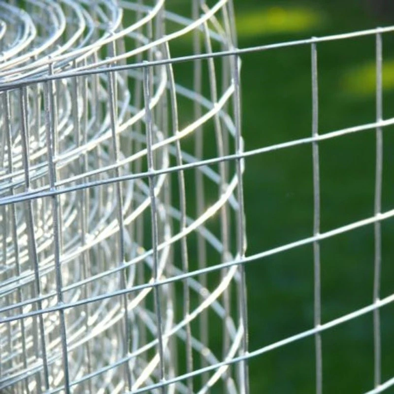 Custom Welded Wire Mesh Roll